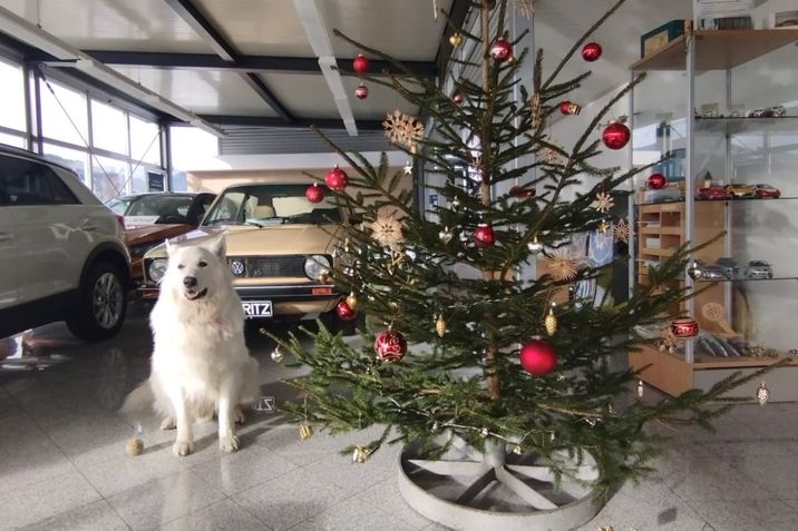 Weihnachtsgruß